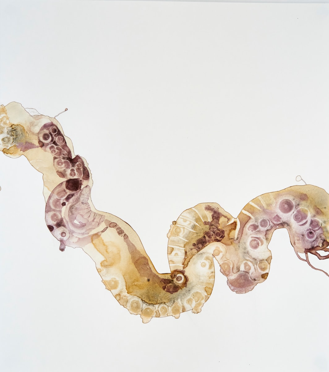 Metamorphosis by Deborah Benioff Friedman 