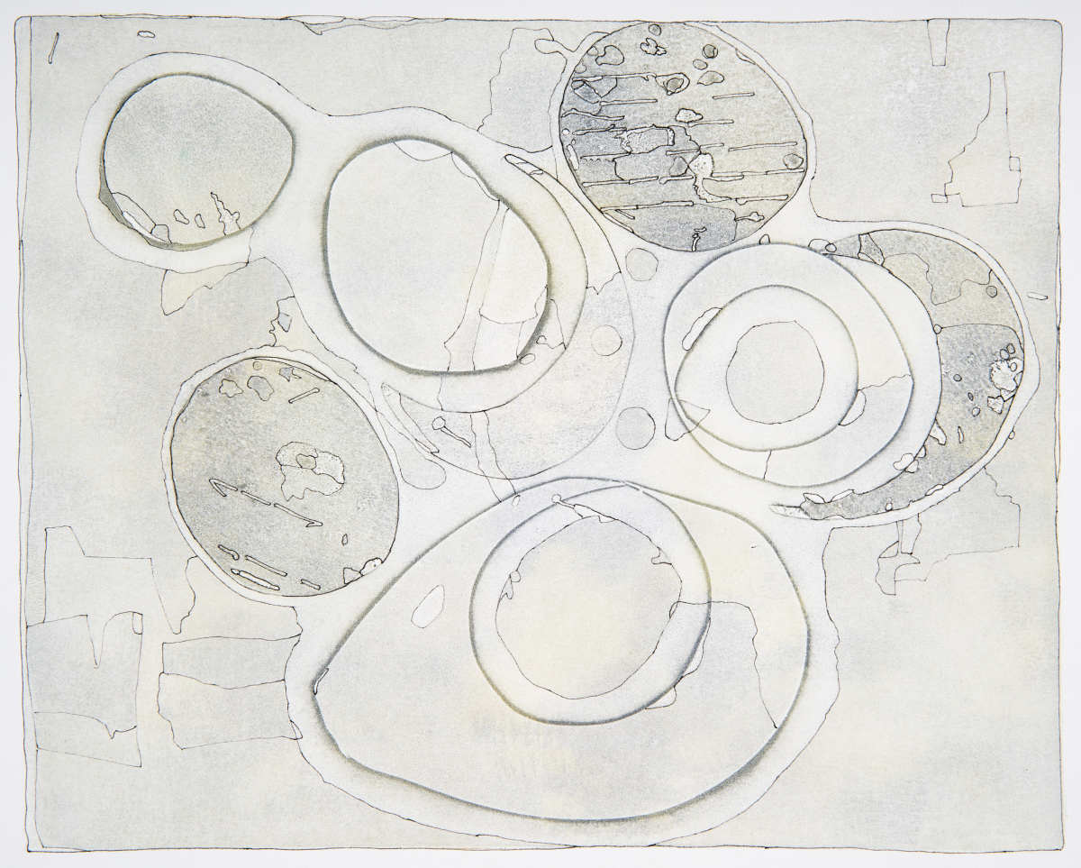 Celebrate by Deborah Benioff Friedman 