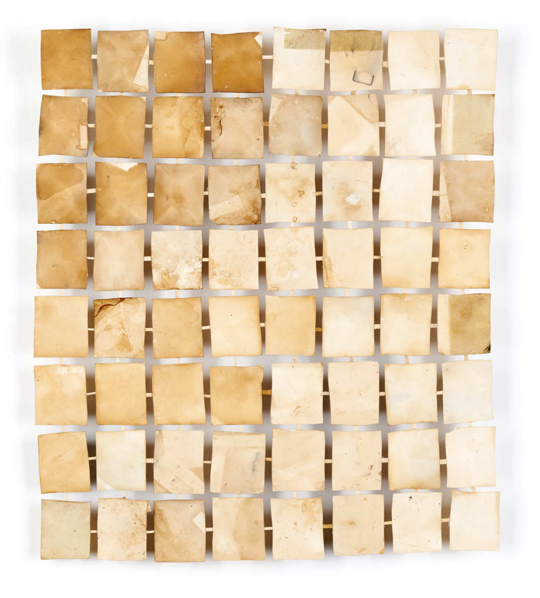 Integumentary by Deborah Benioff Friedman 