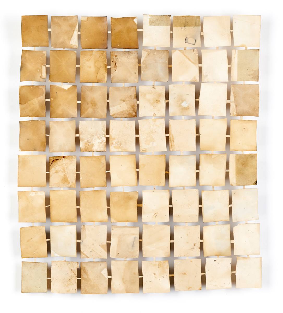 Integumentary by Deborah Benioff Friedman, Image 1.