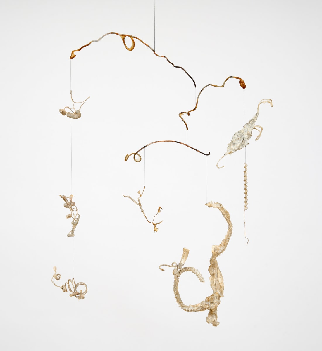 Spring Fling by Tom Russell & D Benioff Friedman , Image 7.