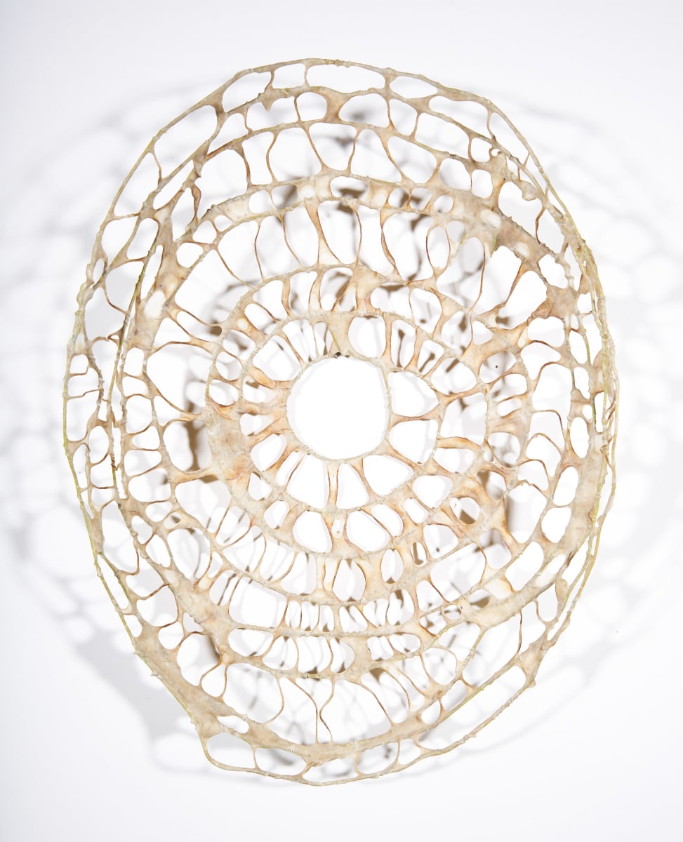 Hither by Deborah Benioff Friedman, Image 2.