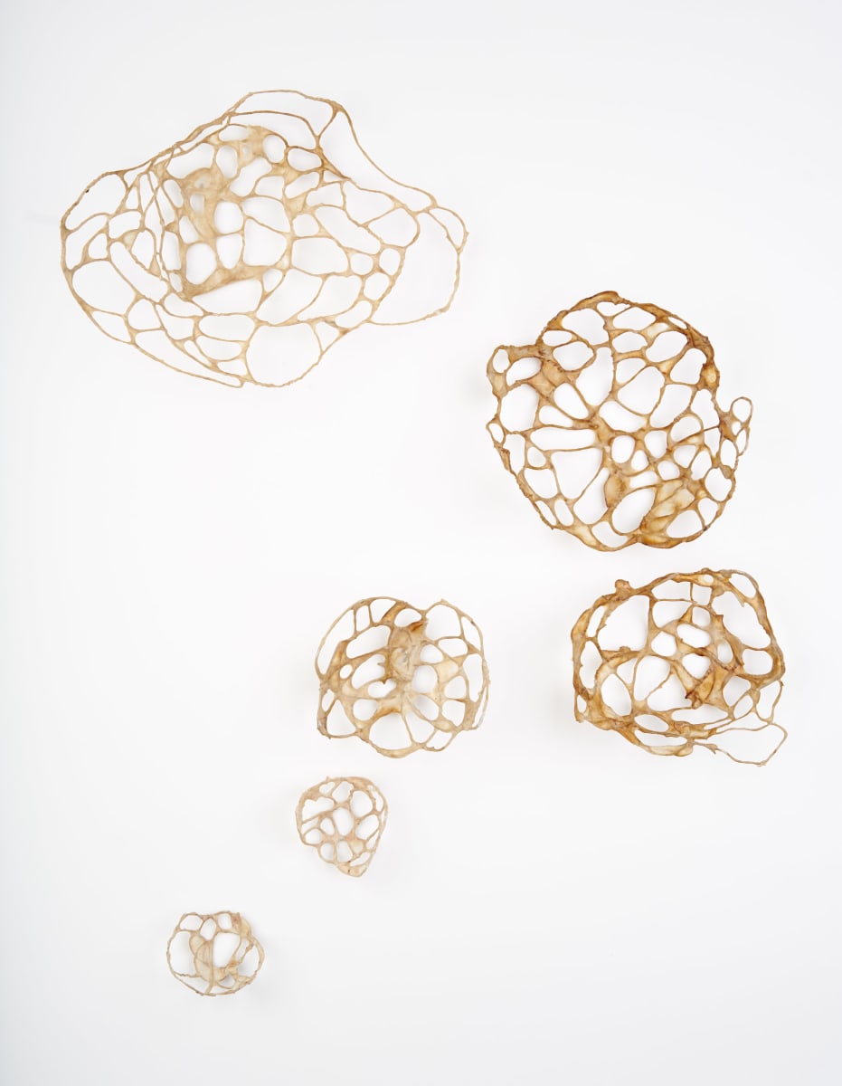 Sift by Deborah Benioff Friedman, Image 4.
