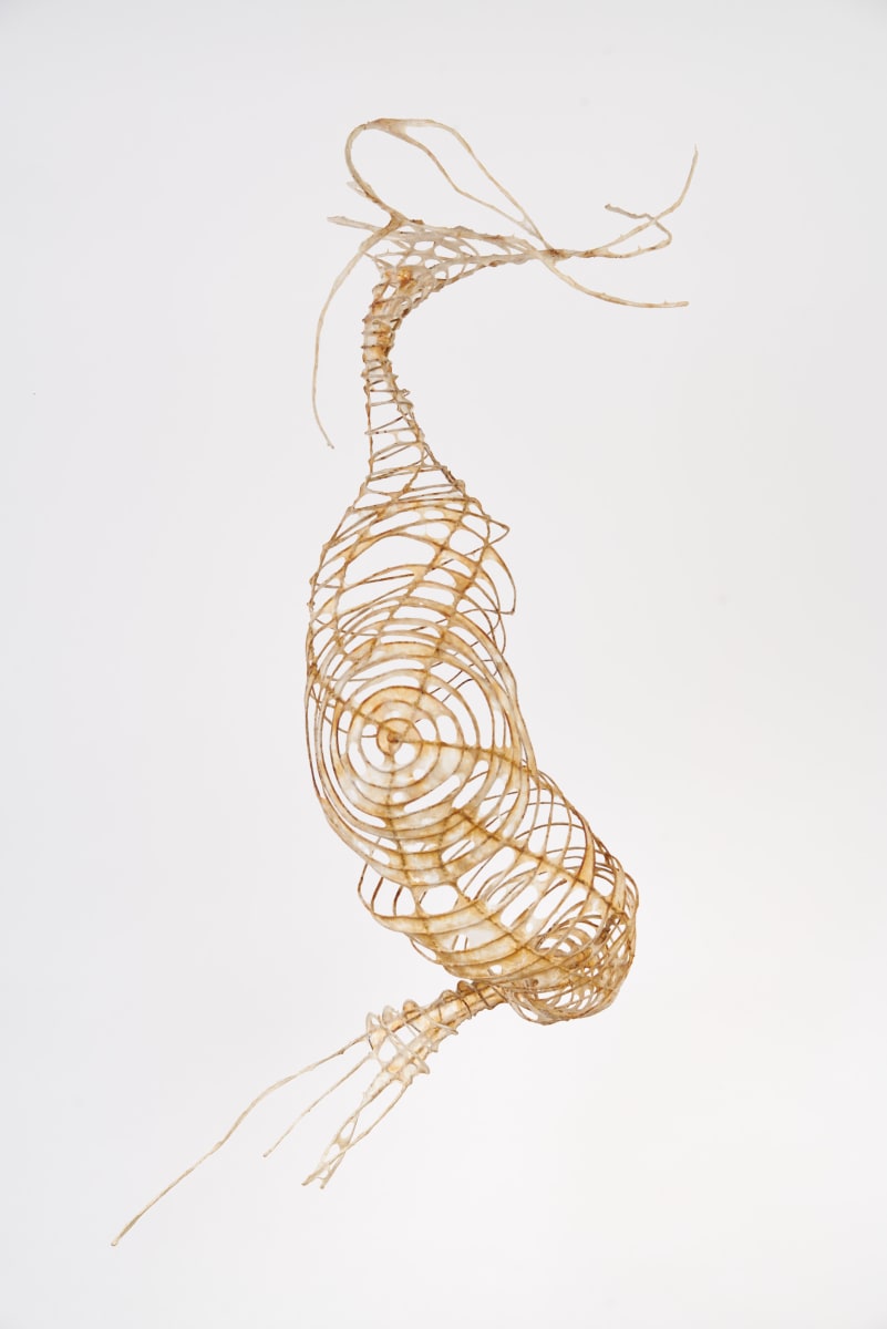 Lyric by Deborah Benioff Friedman 