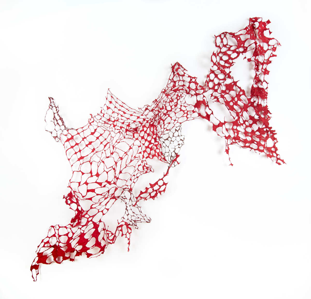 Mirabile by Deborah Benioff Friedman 