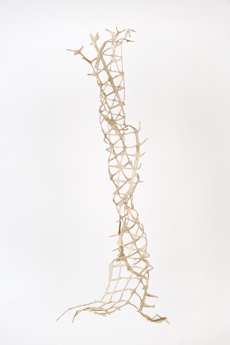 Quirk by Deborah Benioff Friedman 