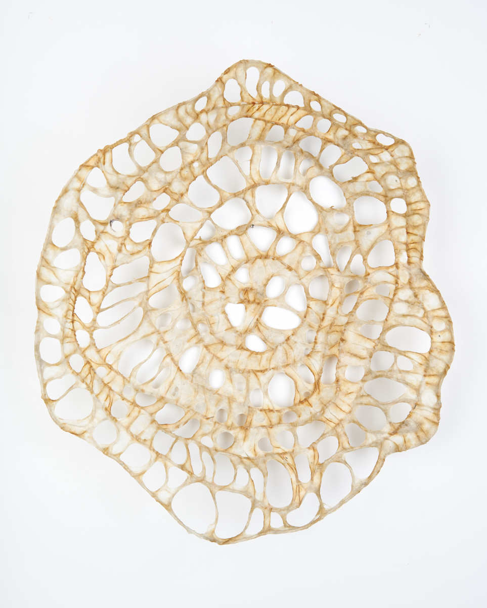 Yon by Deborah Benioff Friedman 