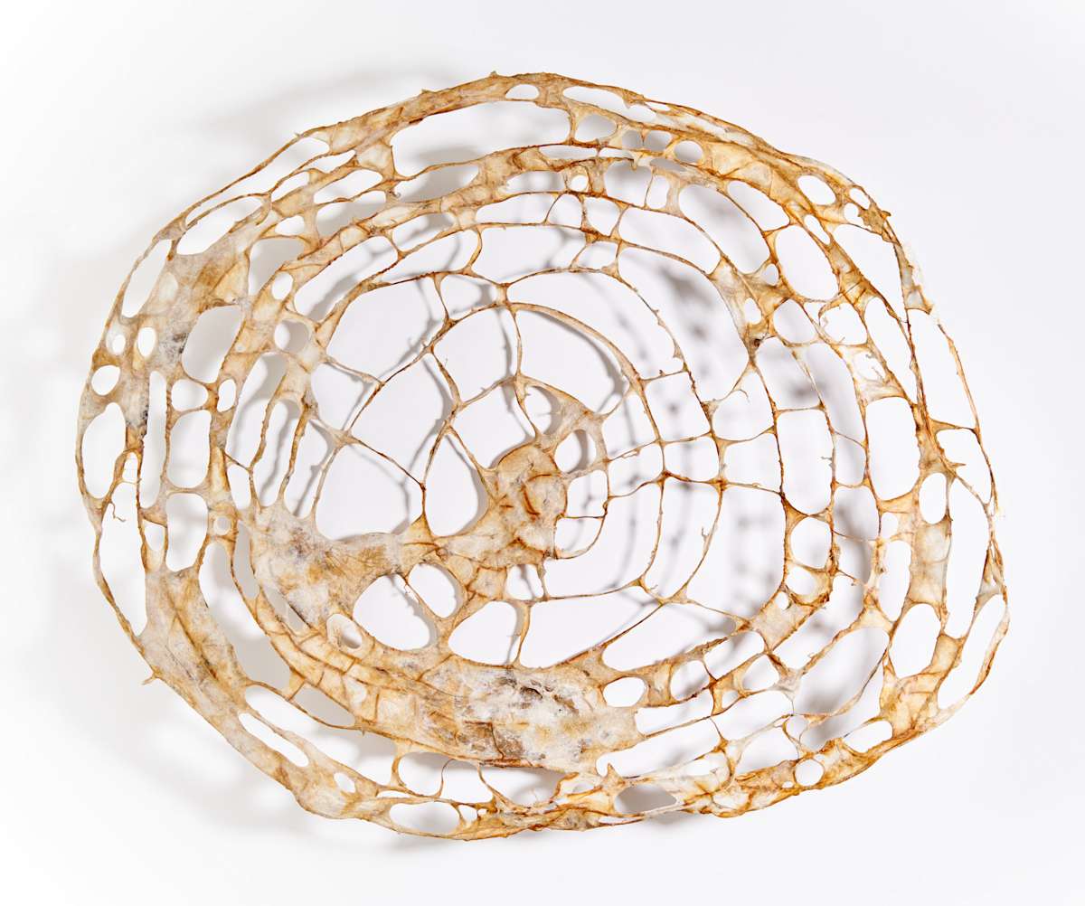 Whither by Deborah Benioff Friedman, Image 4.