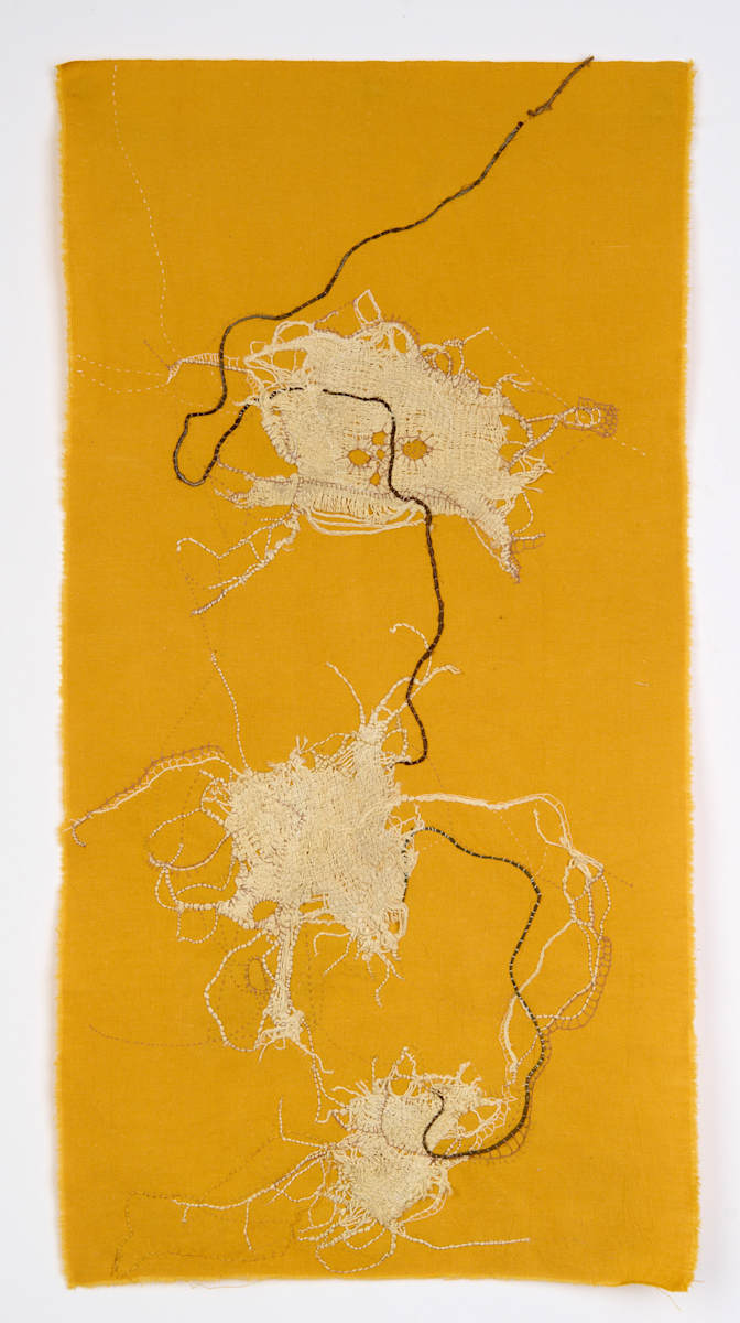 Symbiosis by Deborah Benioff Friedman 