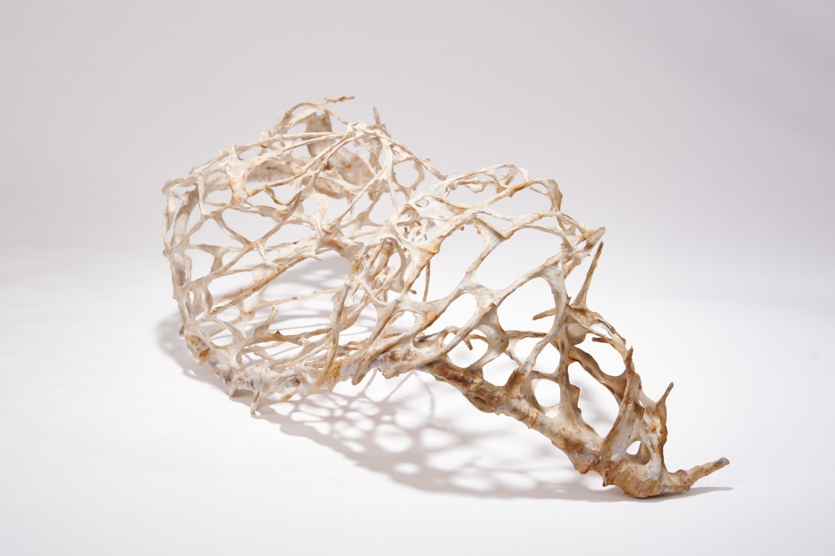 Brunt by Deborah Benioff Friedman 