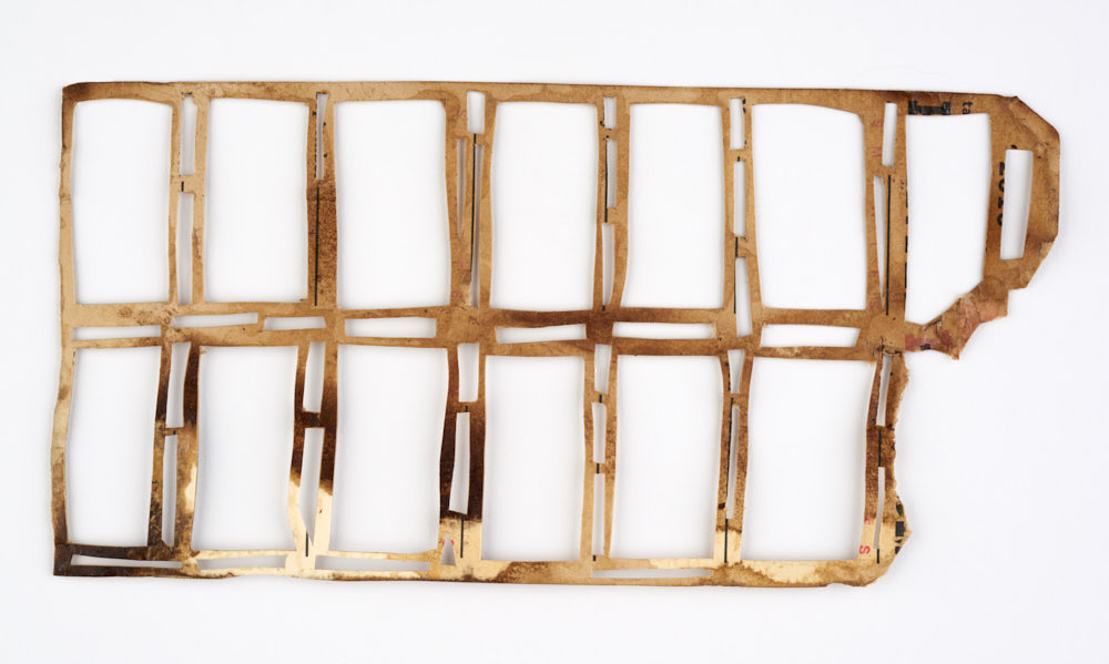 Thalamum by Deborah Benioff Friedman 