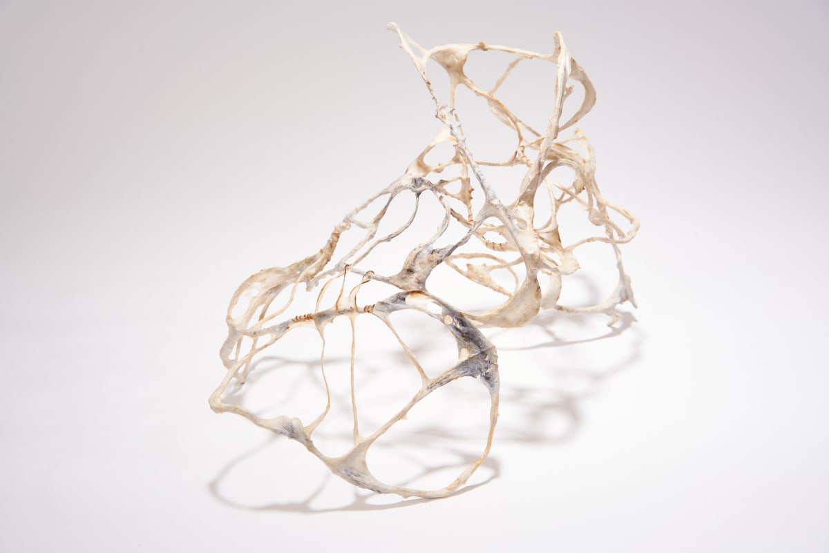 Linkage by Deborah Benioff Friedman 