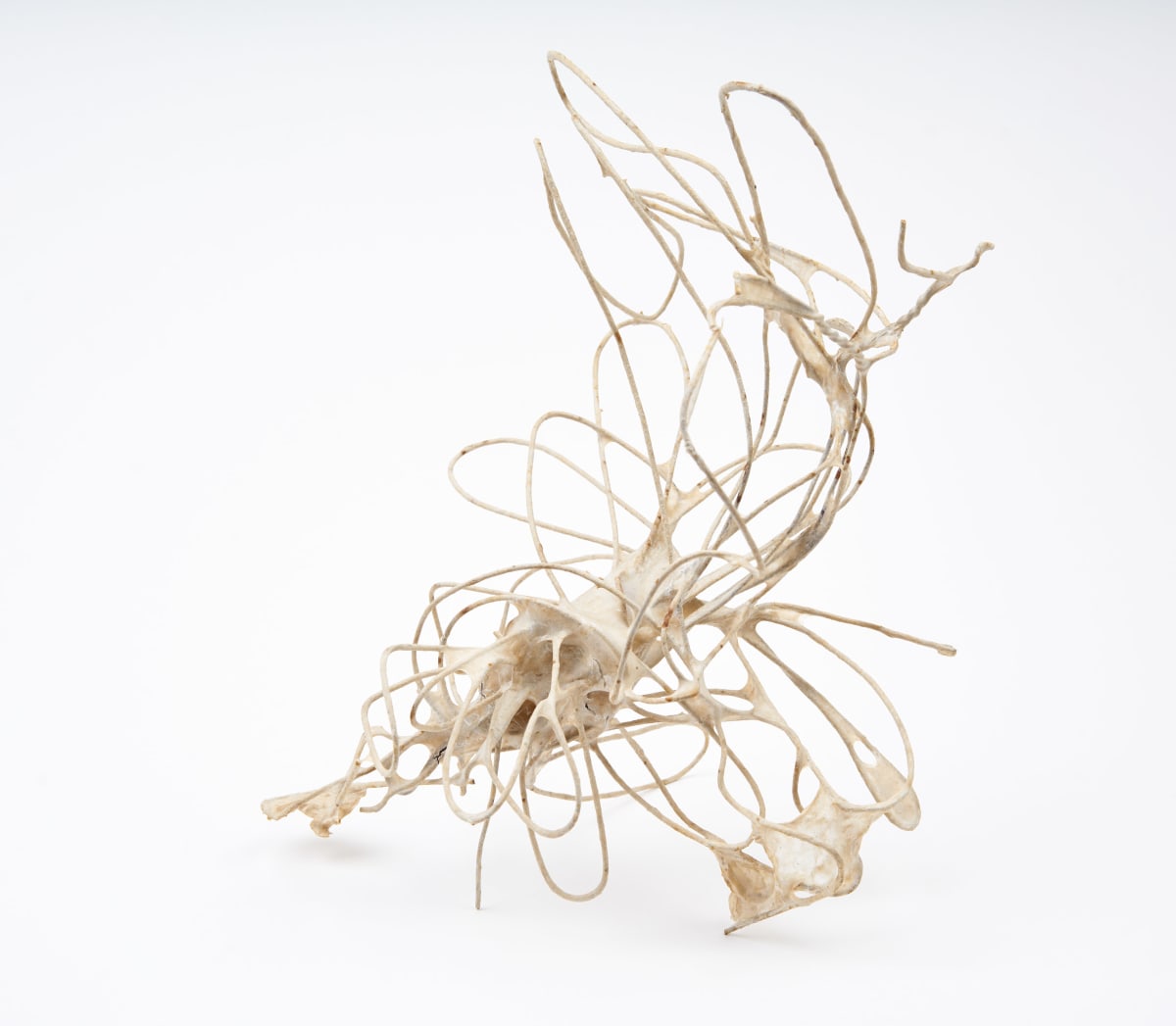 Flight by Deborah Benioff Friedman, Image 3.