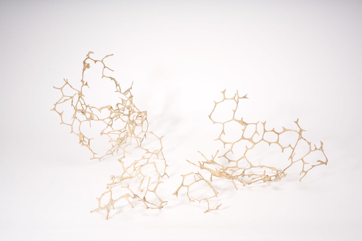 Reticulum by Deborah Benioff Friedman, Image 1.