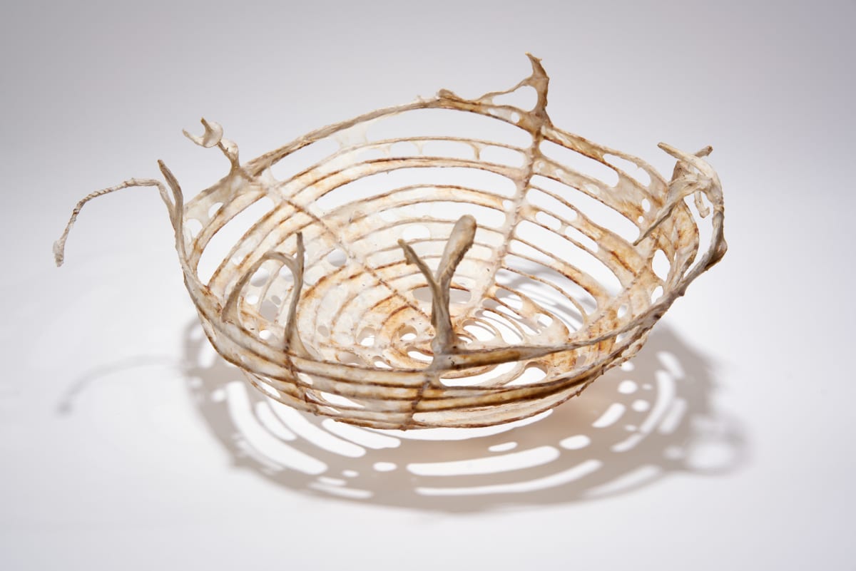 Windswept by Deborah Benioff Friedman 