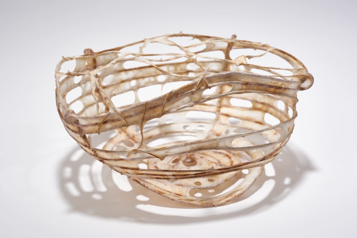 Carry This by Deborah Benioff Friedman 