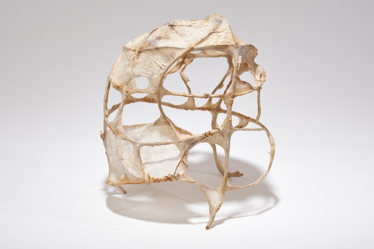 Substance by Deborah Benioff Friedman 