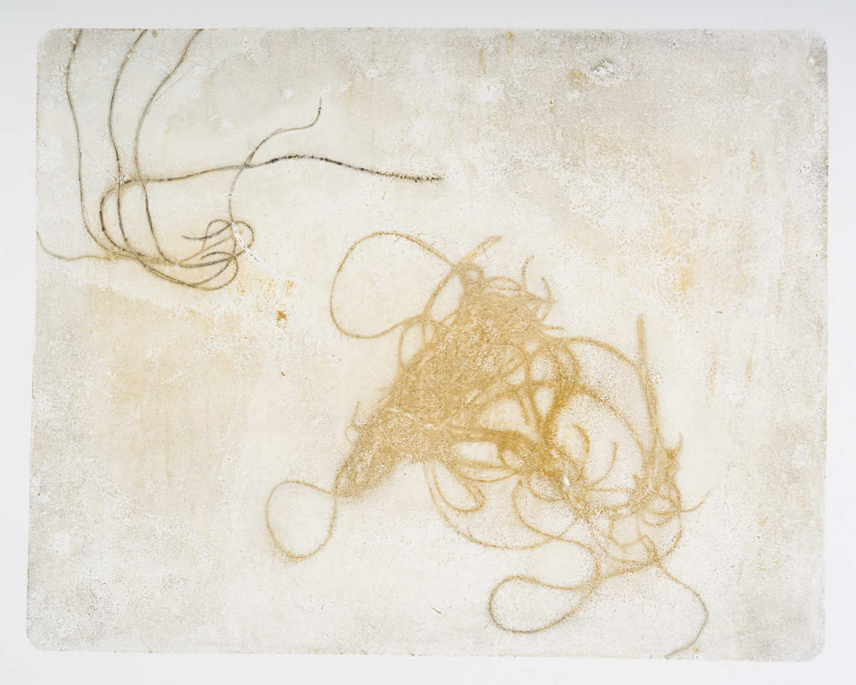 Everything by Deborah Benioff Friedman 