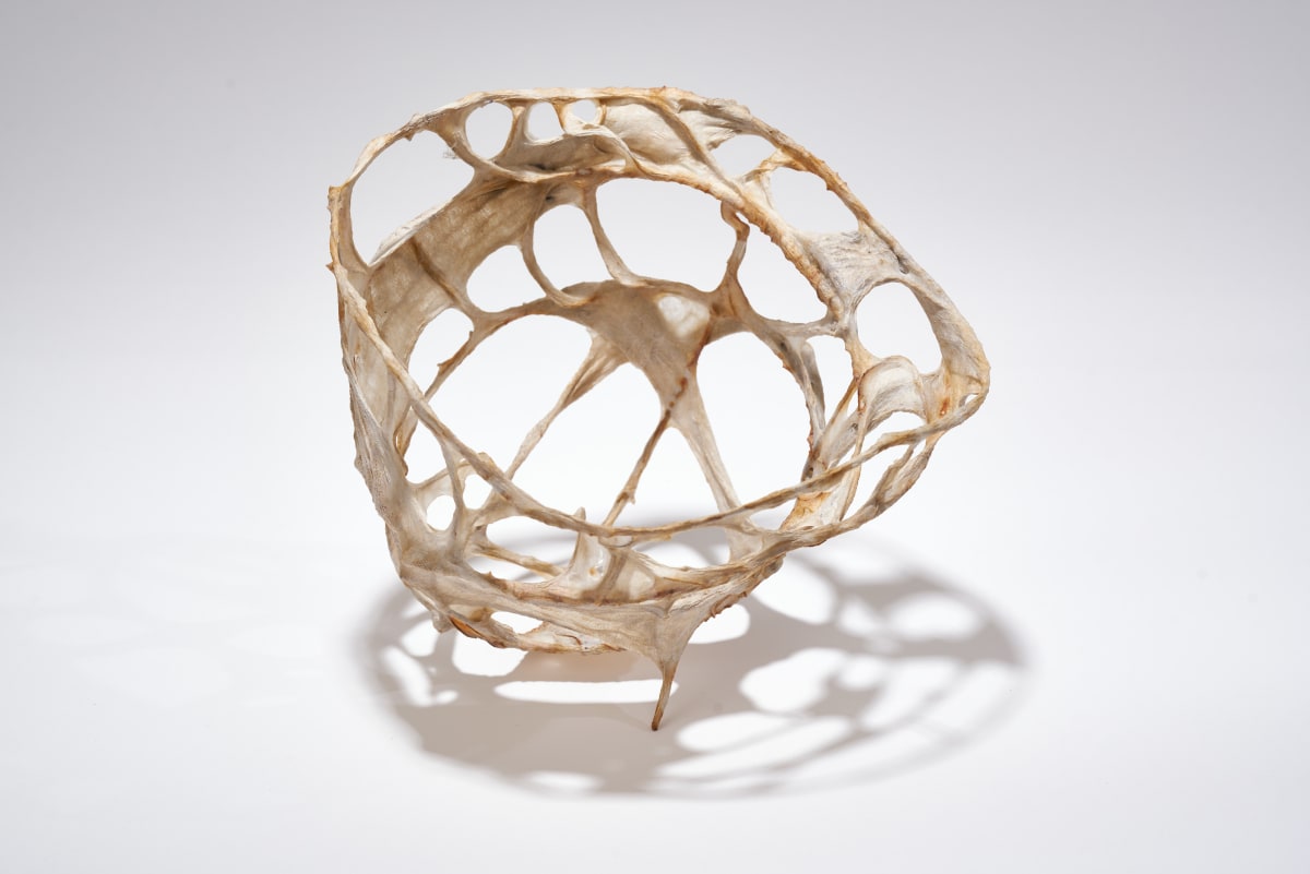 Influence by Deborah Benioff Friedman 