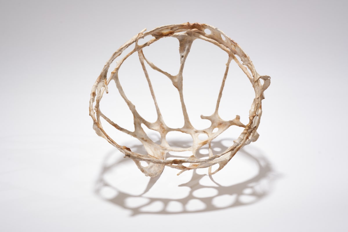 Consequence by Deborah Benioff Friedman 