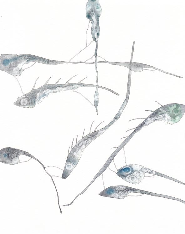 Seven Fish Blue Fish by Deborah Benioff Friedman, Image 1.
