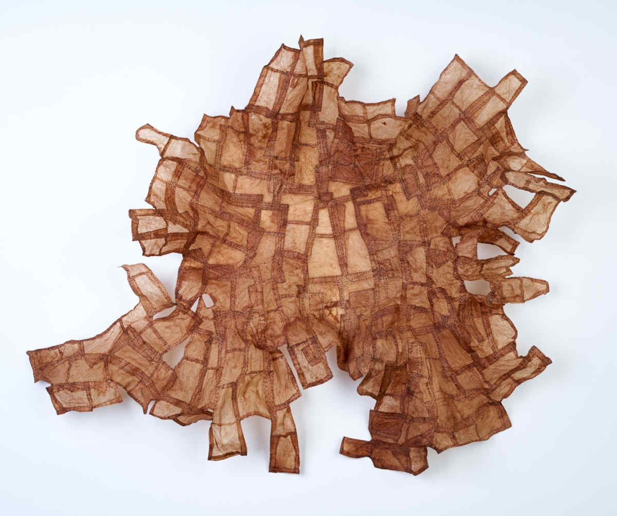 Unloosed by Deborah Benioff Friedman 