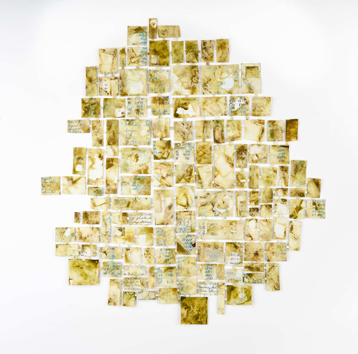 Algebraic by Deborah Benioff Friedman 