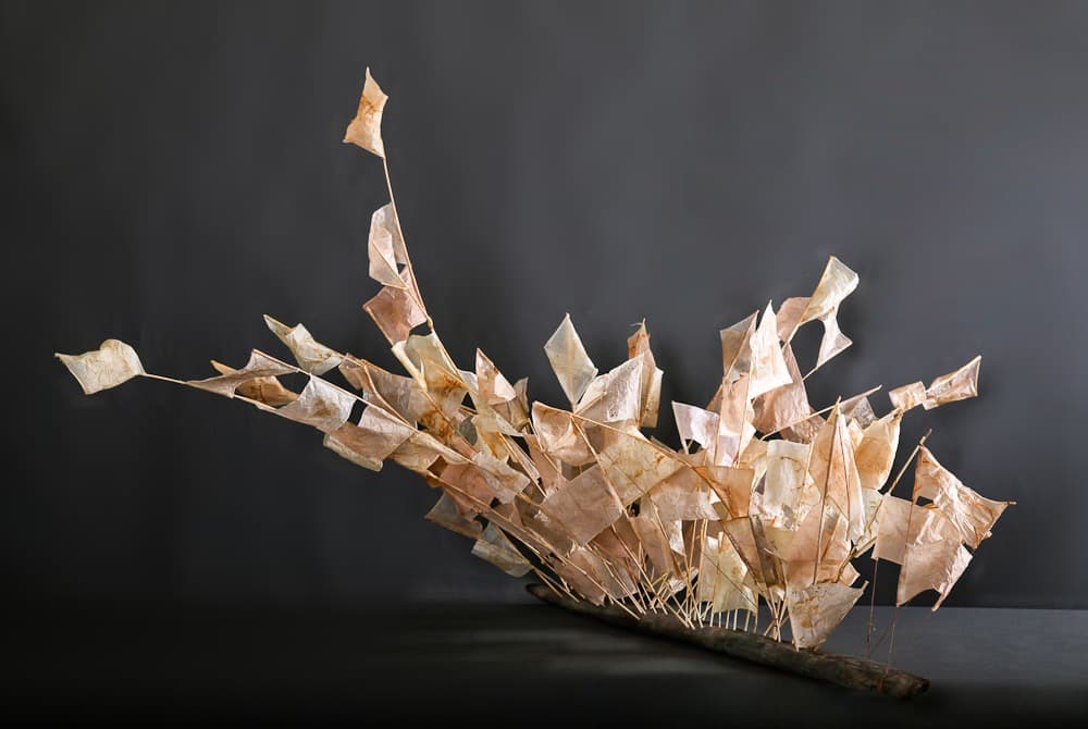 Darjeeling Clipper by Deborah Benioff Friedman, Image 4.
