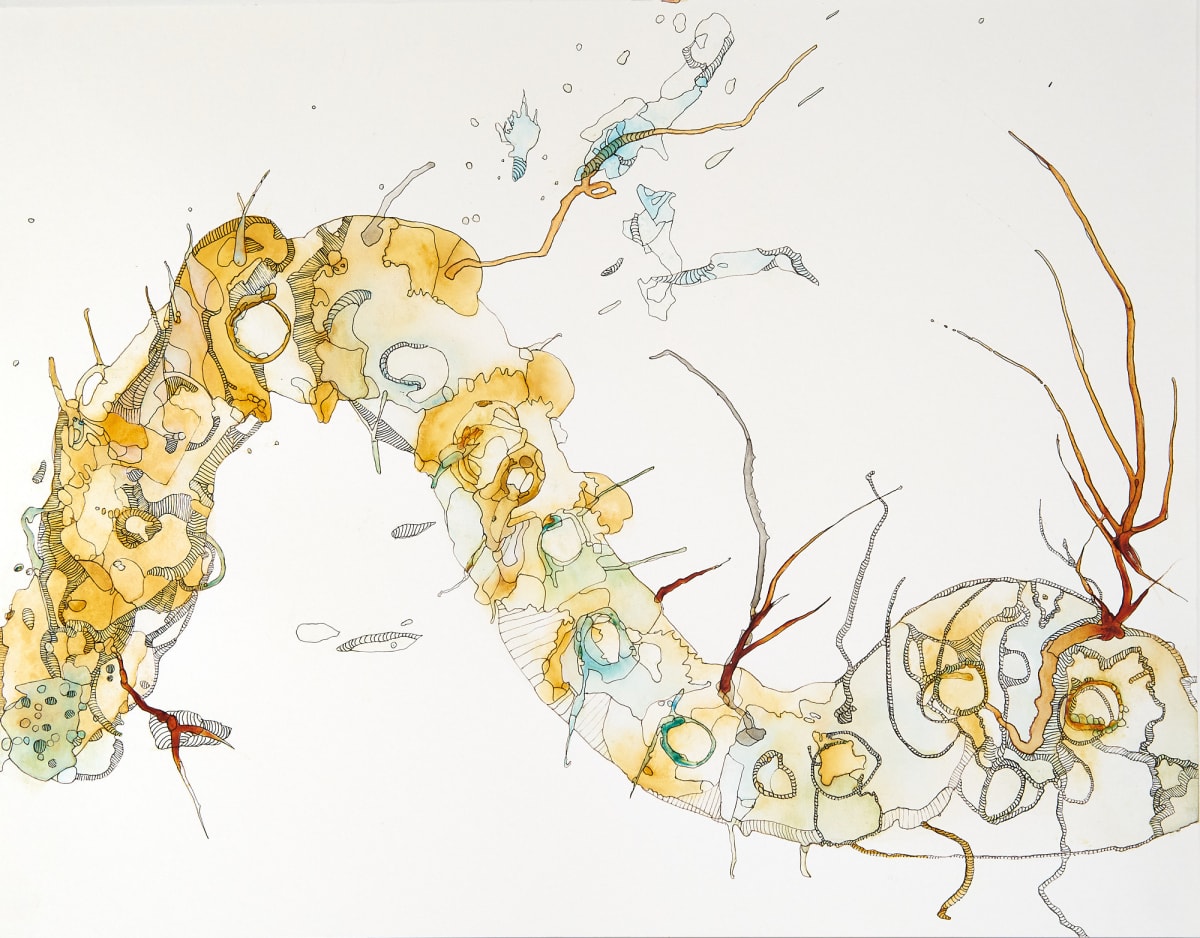 Metamorphosis 2 by Deborah Benioff Friedman 