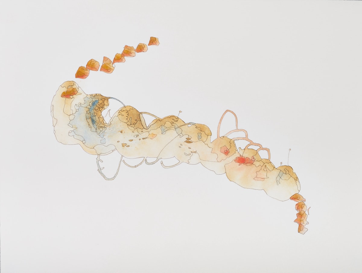 Inquiry 14 by Deborah Benioff Friedman 