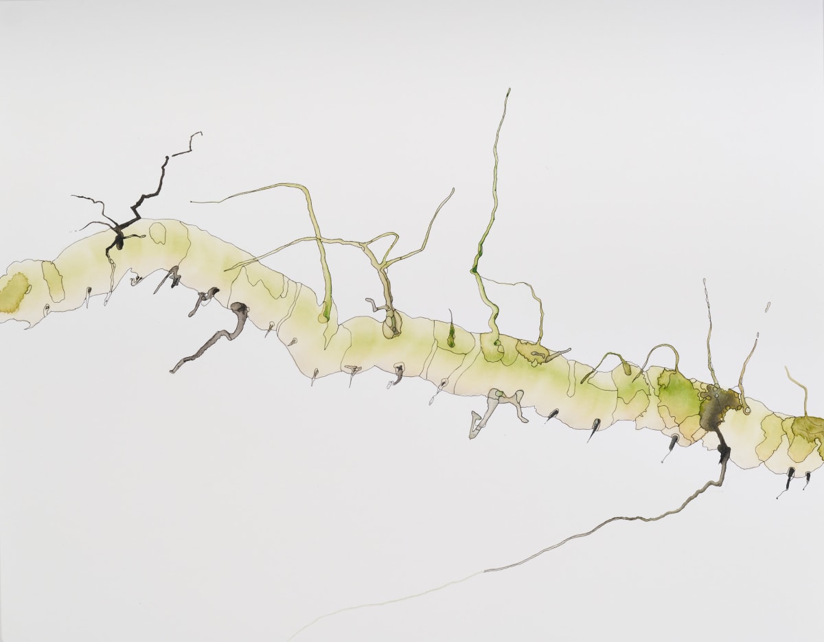 Inquiry 15 by Deborah Benioff Friedman 