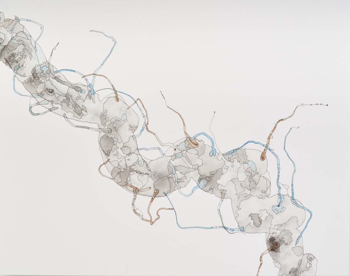 Inquiry 16 by Deborah Benioff Friedman 