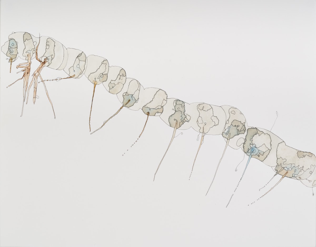 Inquiry 17 by Deborah Benioff Friedman 