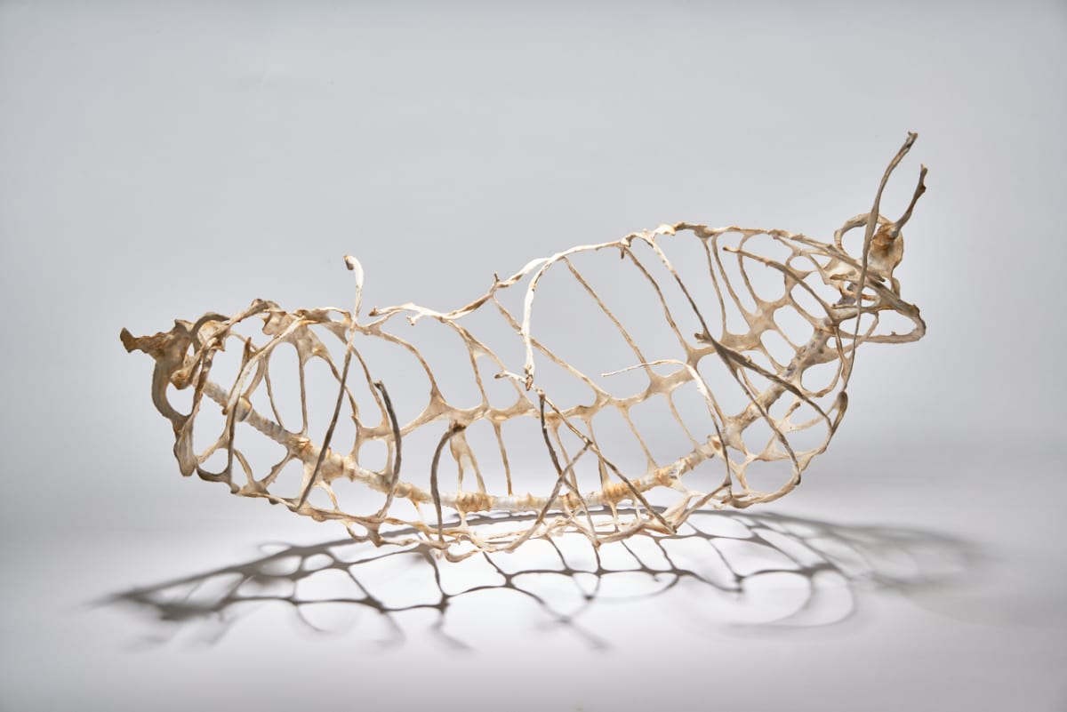 Cusp by Deborah Benioff Friedman 