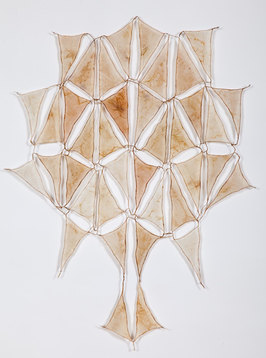 Frigate by Deborah Benioff Friedman 