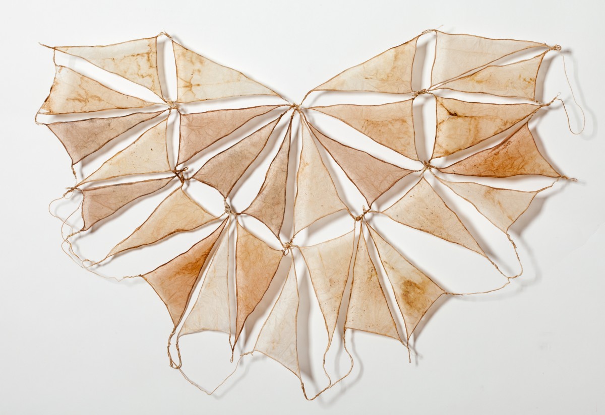 Frittilary by Deborah Benioff Friedman 