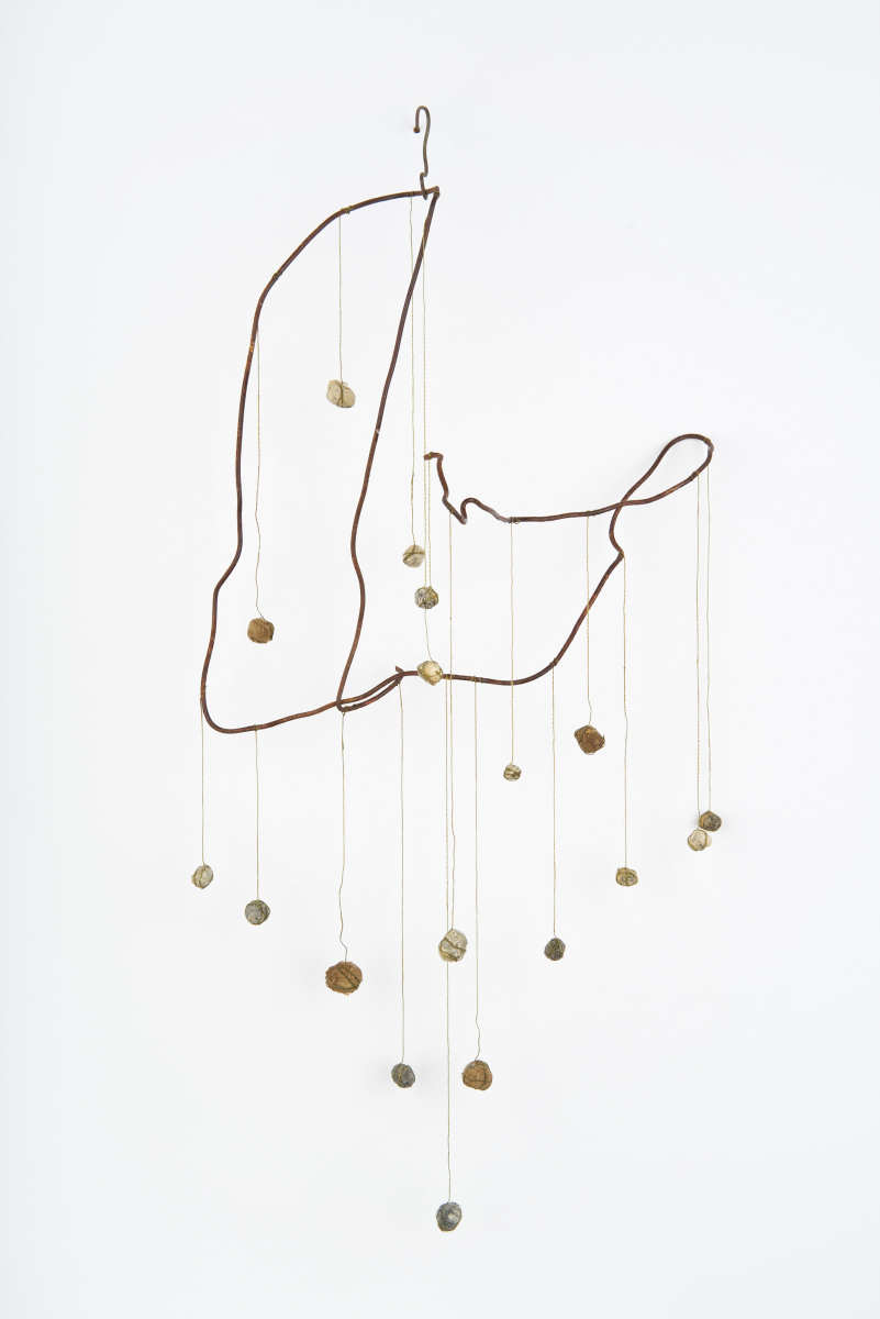 Plumb Forgot by Deborah Benioff Friedman 