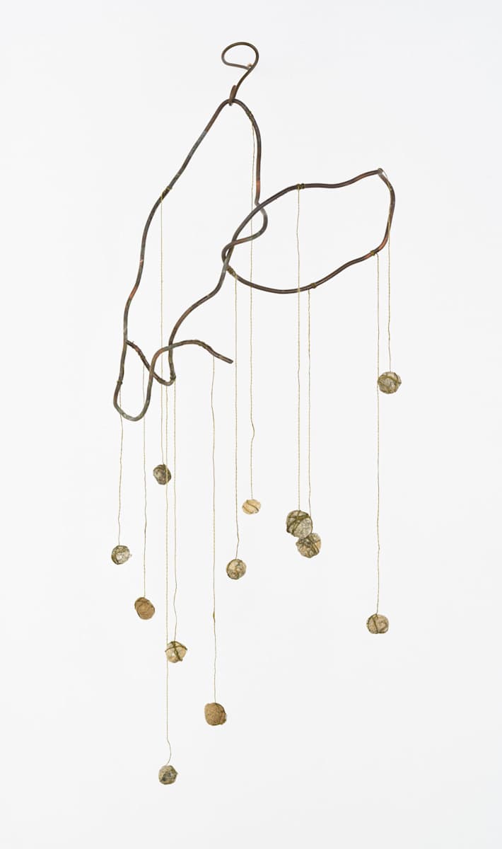 Plumb Crazy by Deborah Benioff Friedman, Image 2.