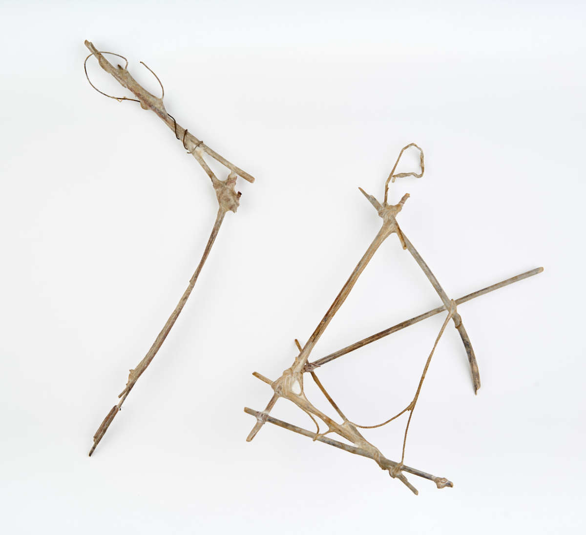 Hard-Favored by Deborah Benioff Friedman 