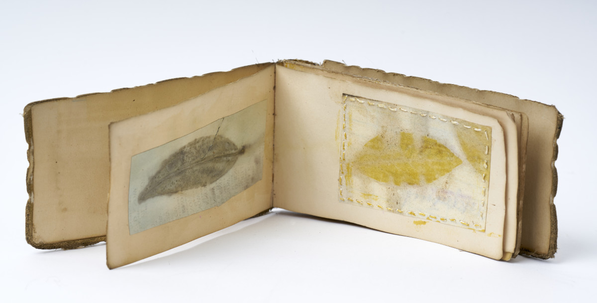 Leaves by Deborah Benioff Friedman 