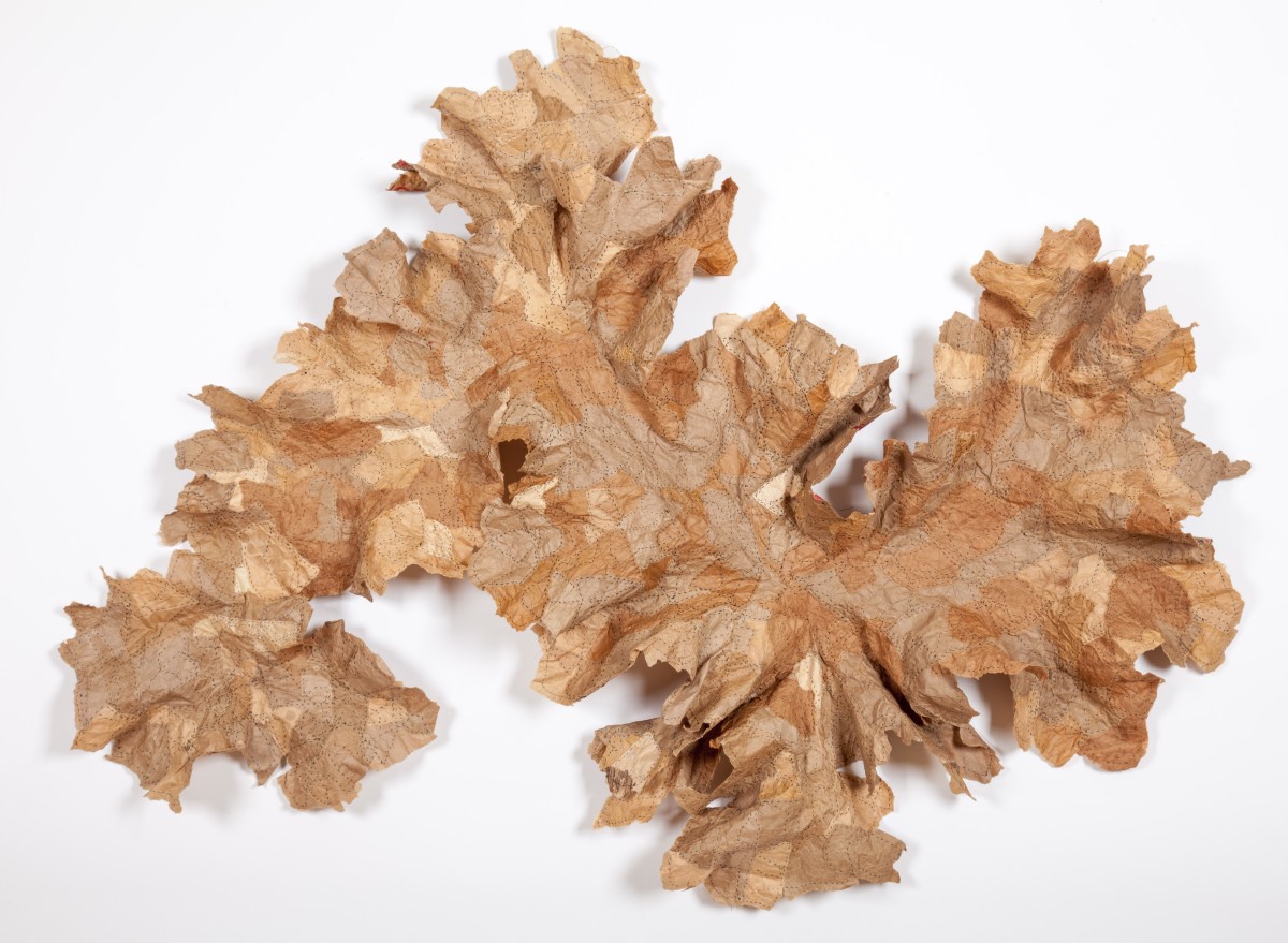 Orogeny by Deborah Benioff Friedman 