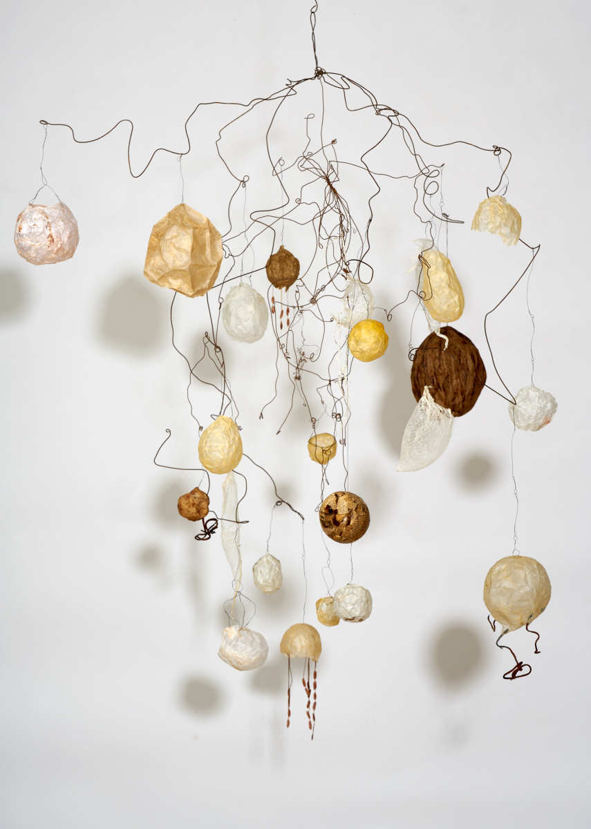 Pre-Cambrian Bloom by Deborah Benioff Friedman 