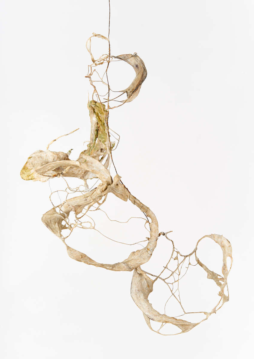 Skew and Jitter by Deborah Benioff Friedman 