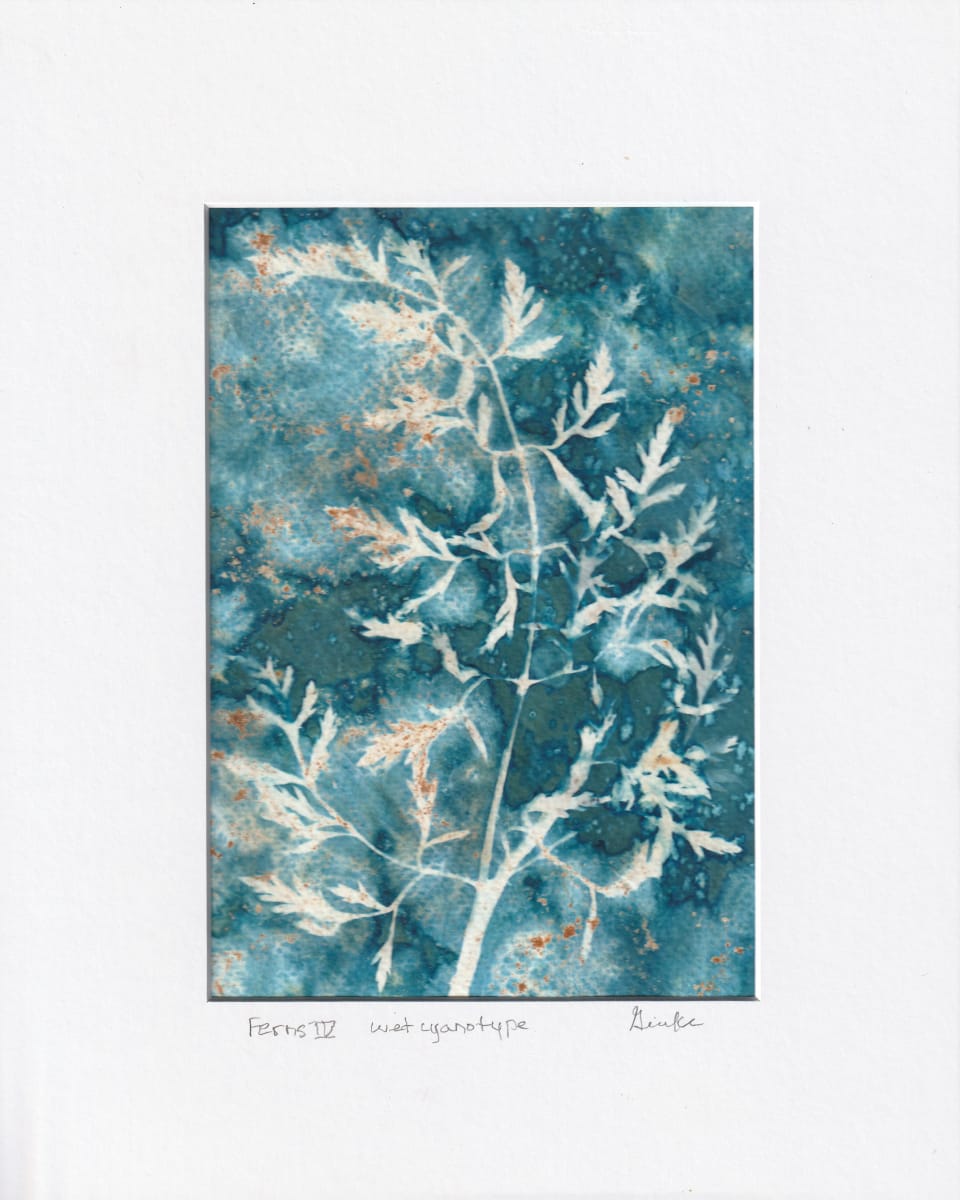 Ferns IV by Vera Gierke, Image 1.