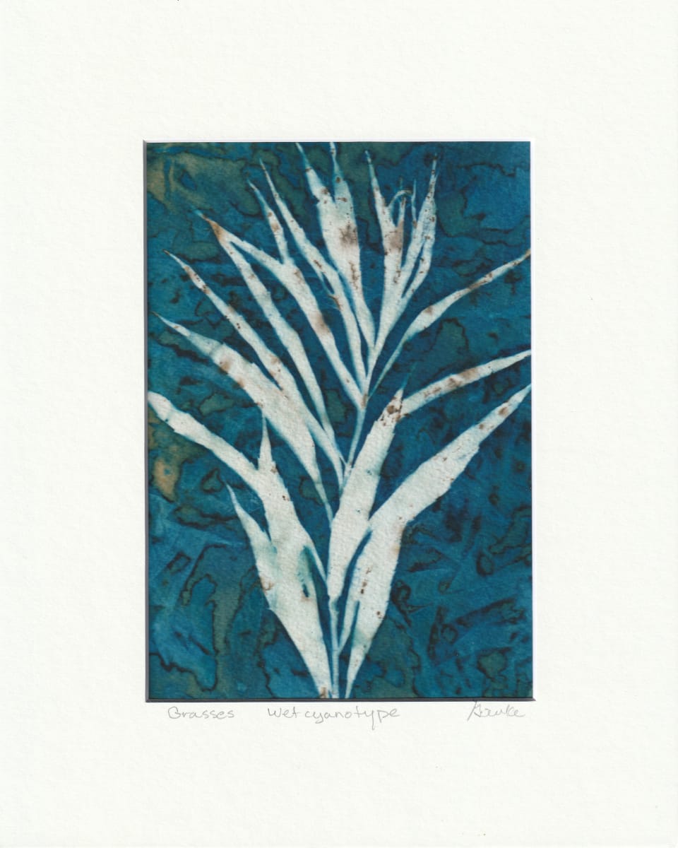 Grasses by Vera Gierke, Image 1.