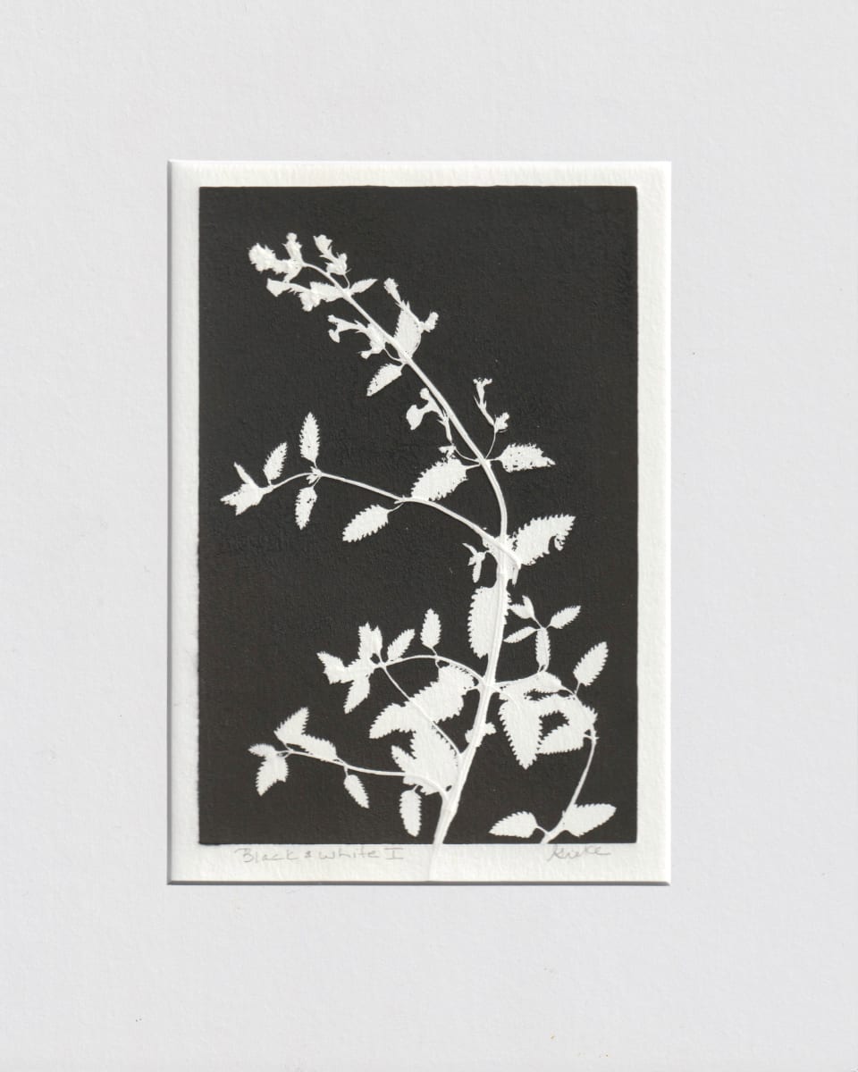 Black & White I by Vera Gierke 