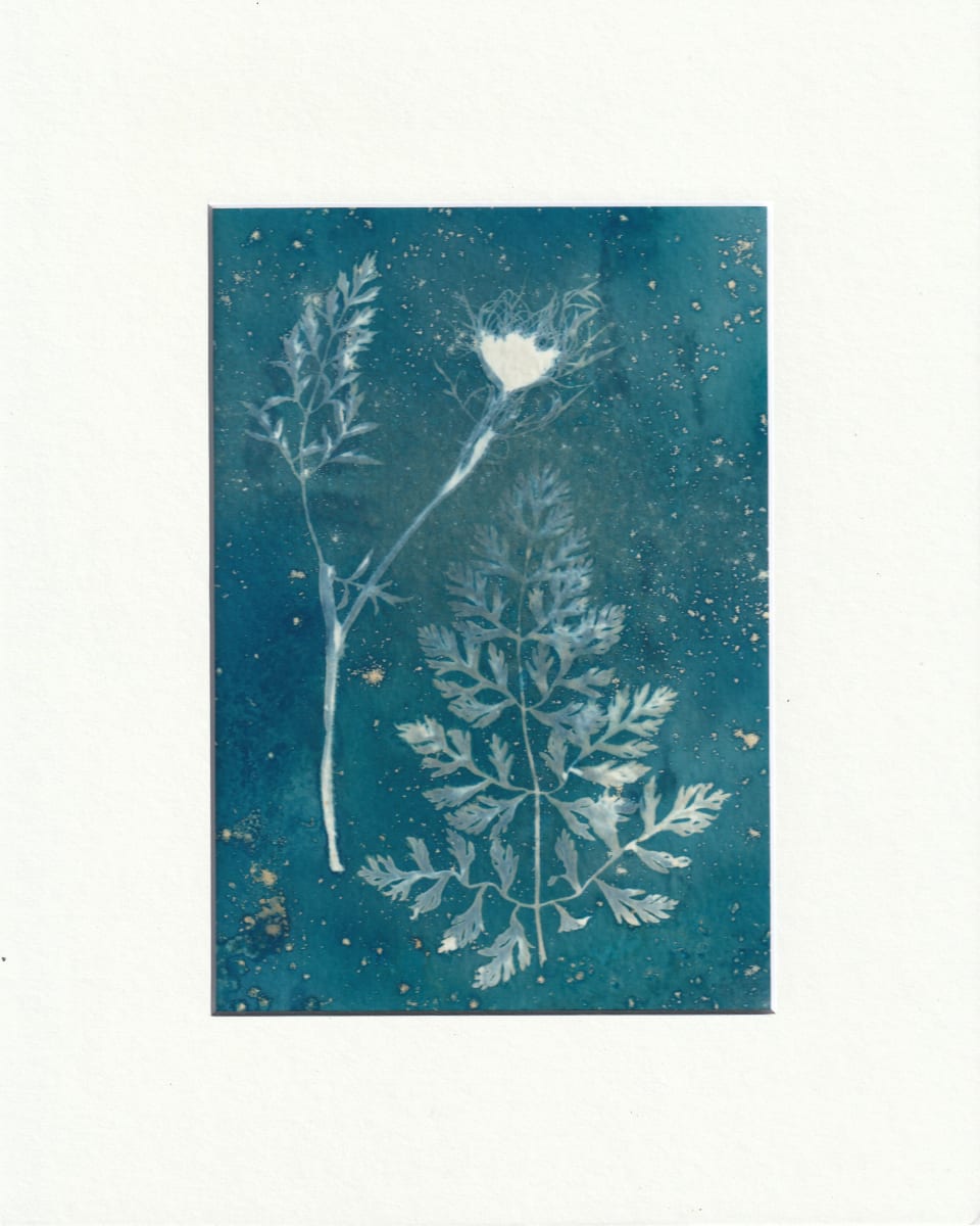 The Forest by Vera Gierke 