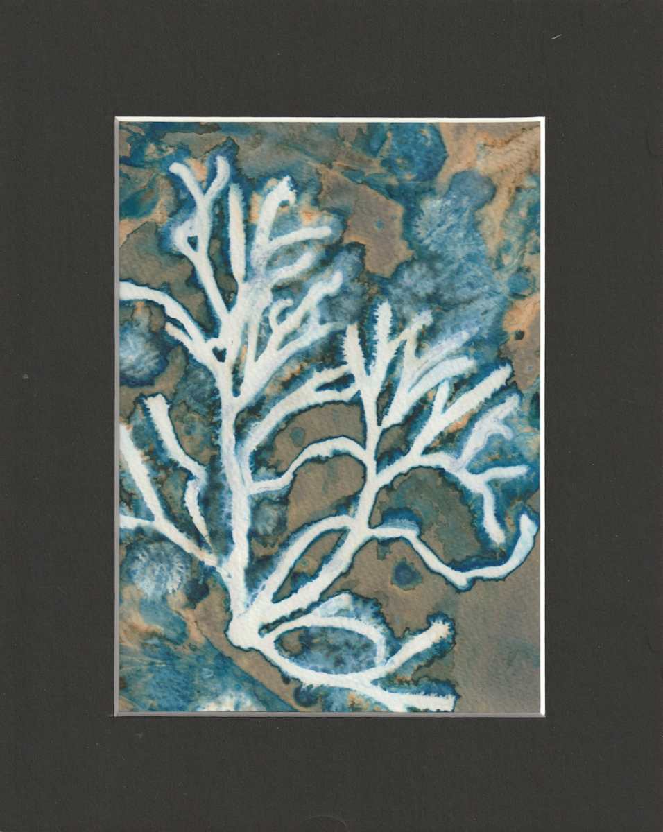 Sea Fingers by Vera Gierke 