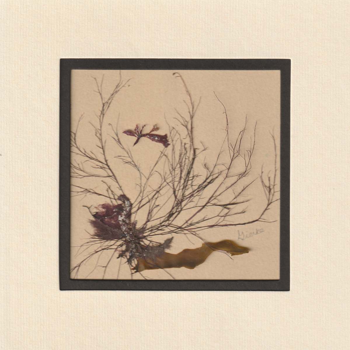 Flying By by Vera Gierke  Image: Flying By