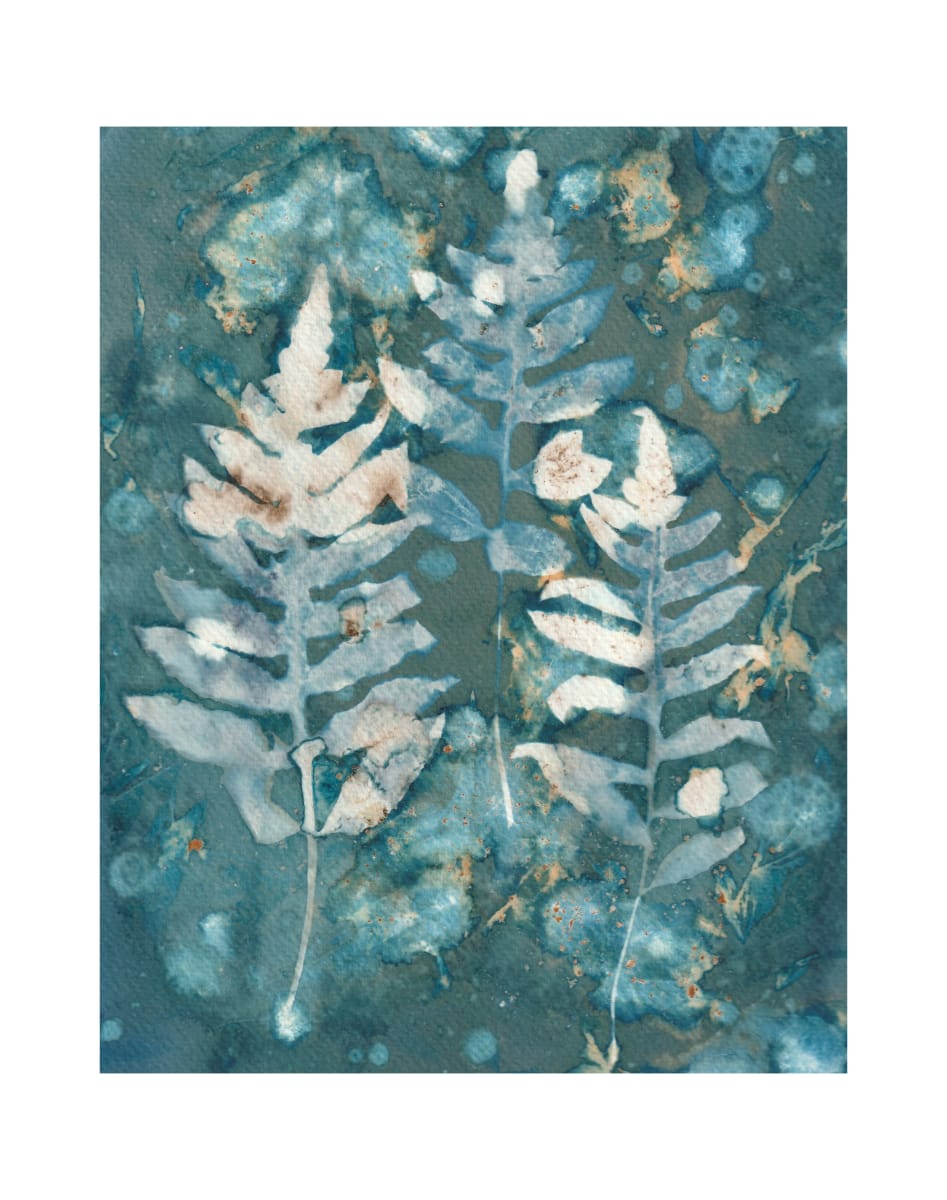 Ferns II by Vera Gierke 